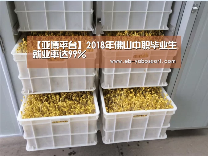 【亚博平台】2018年佛山中职毕业生就业率达99%(图1) 亚博官网