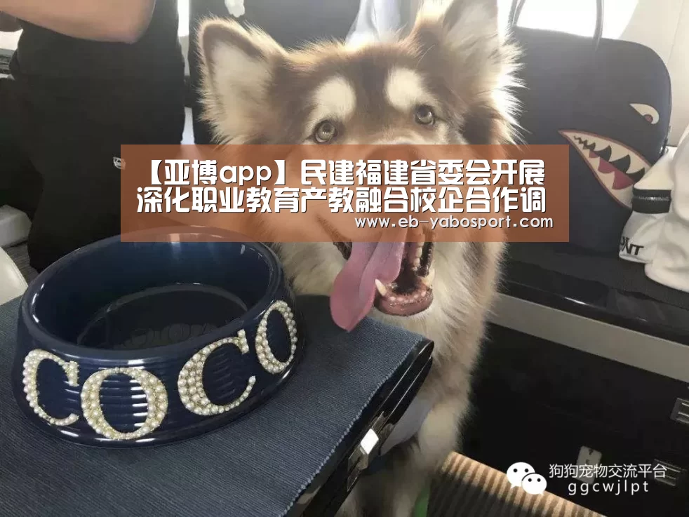 【亚博app】民建福建省委会开展深化职业教育产教融合校企合作调研(图2) 亚博官网