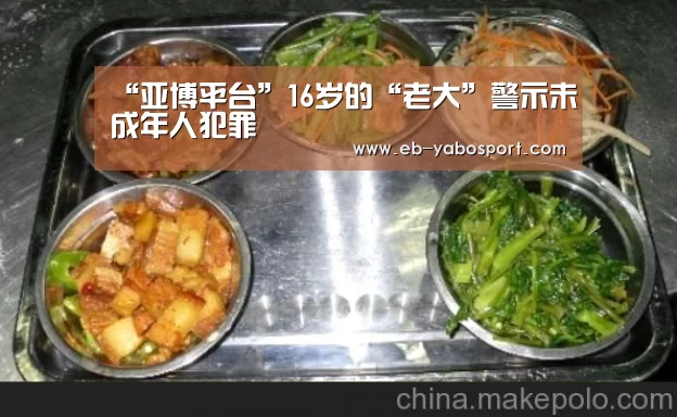 “亚博平台”16岁的“老大”警示未成年人犯罪(图2) 亚博平台
